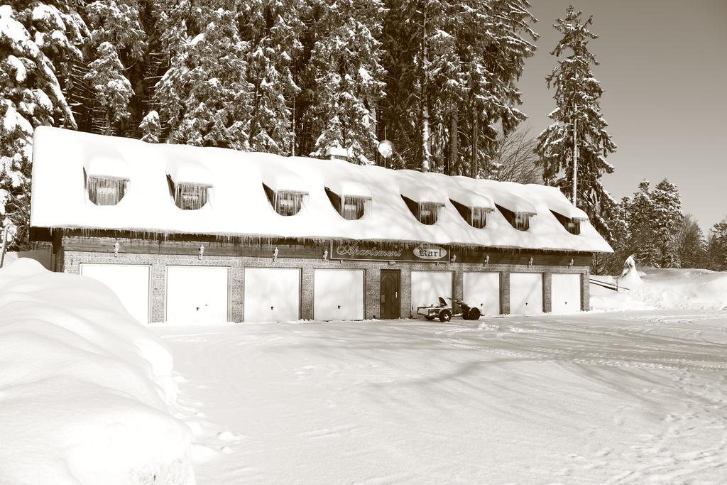 Hotel Karl Zelezna Ruda Exterior photo